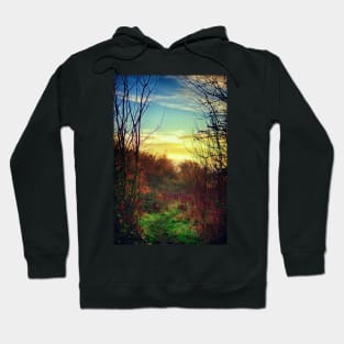 Last Colours of Autumn Hoodie